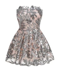 Odilia Silver Embroidered Corset Mini Dress