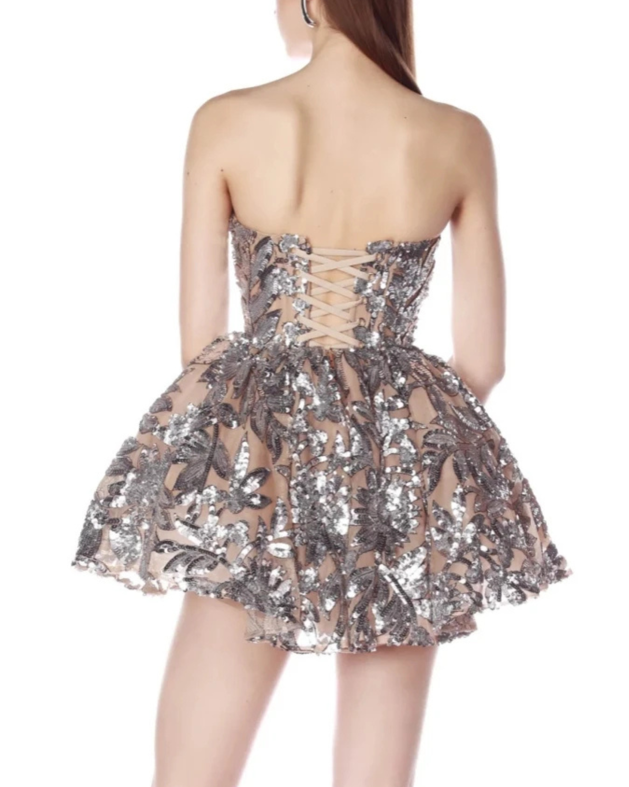 Odilia Silver Embroidered Corset Mini Dress