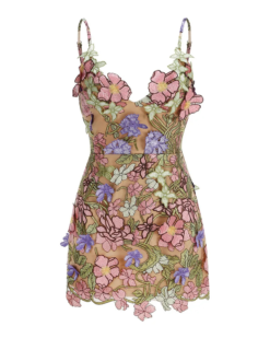 Aveline 3D Floral Embroidered Mini Dress
