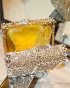 Solenne Crystal Mini Clutch
