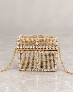 Solenne Crystal Mini Clutch