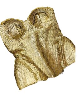 Fiora Sequin Corset Top