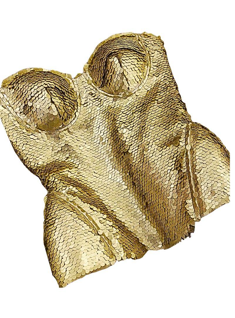 Fiora Sequin Corset Top