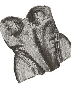 Fiora Sequin Corset Top
